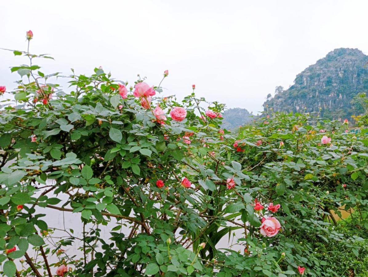 Ninh Binh Green Farmstay La Phu  Esterno foto