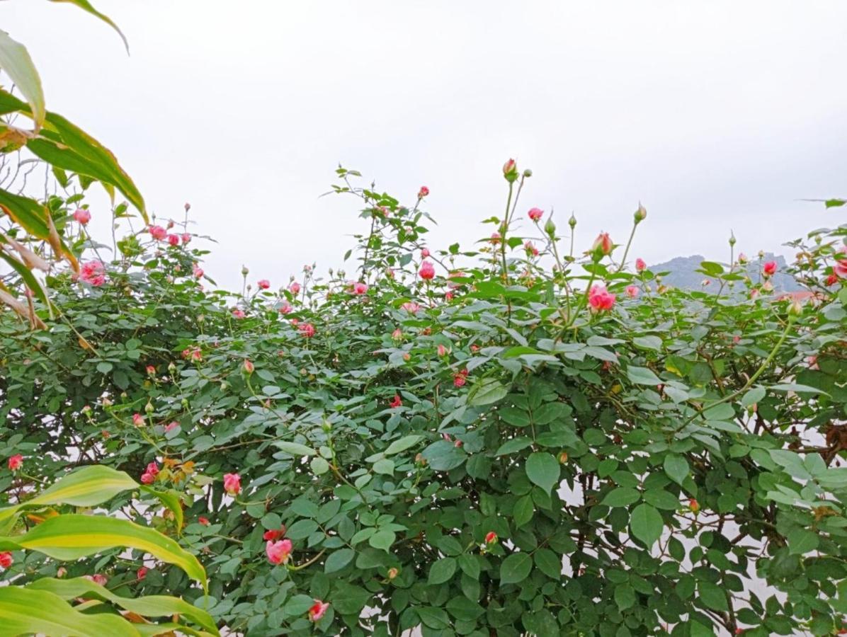 Ninh Binh Green Farmstay La Phu  Esterno foto