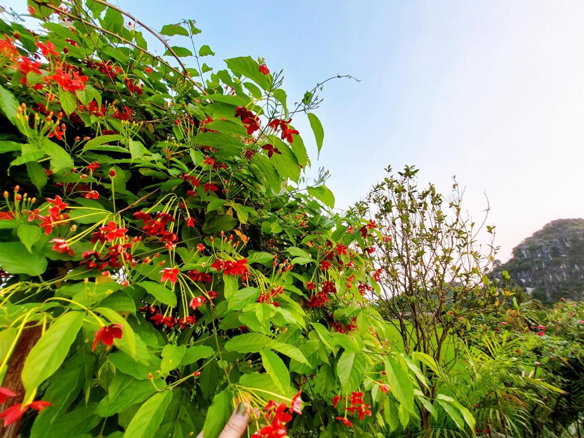 Ninh Binh Green Farmstay La Phu  Esterno foto