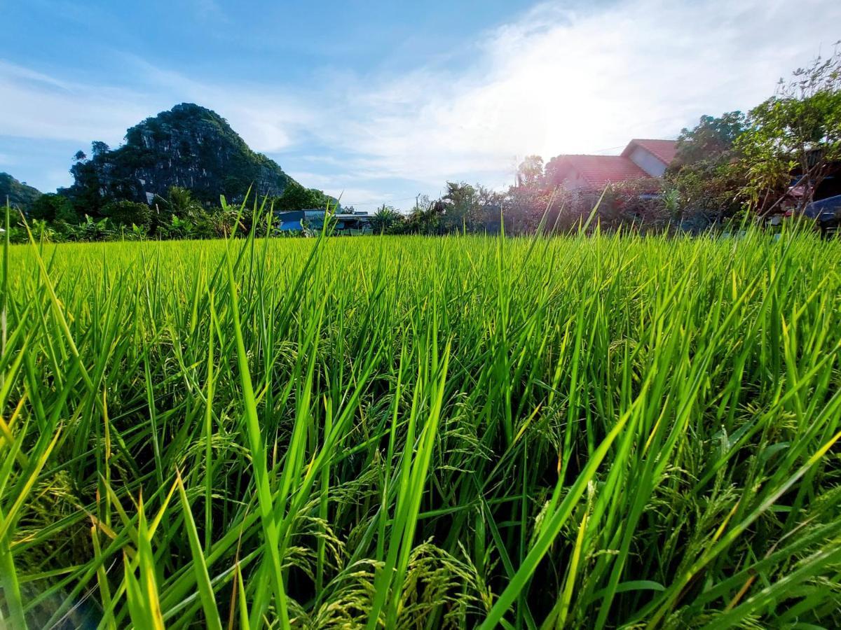 Ninh Binh Green Farmstay La Phu  Esterno foto