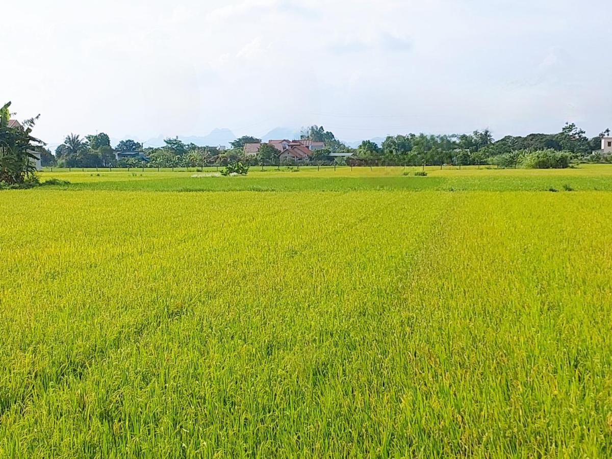 Ninh Binh Green Farmstay La Phu  Esterno foto