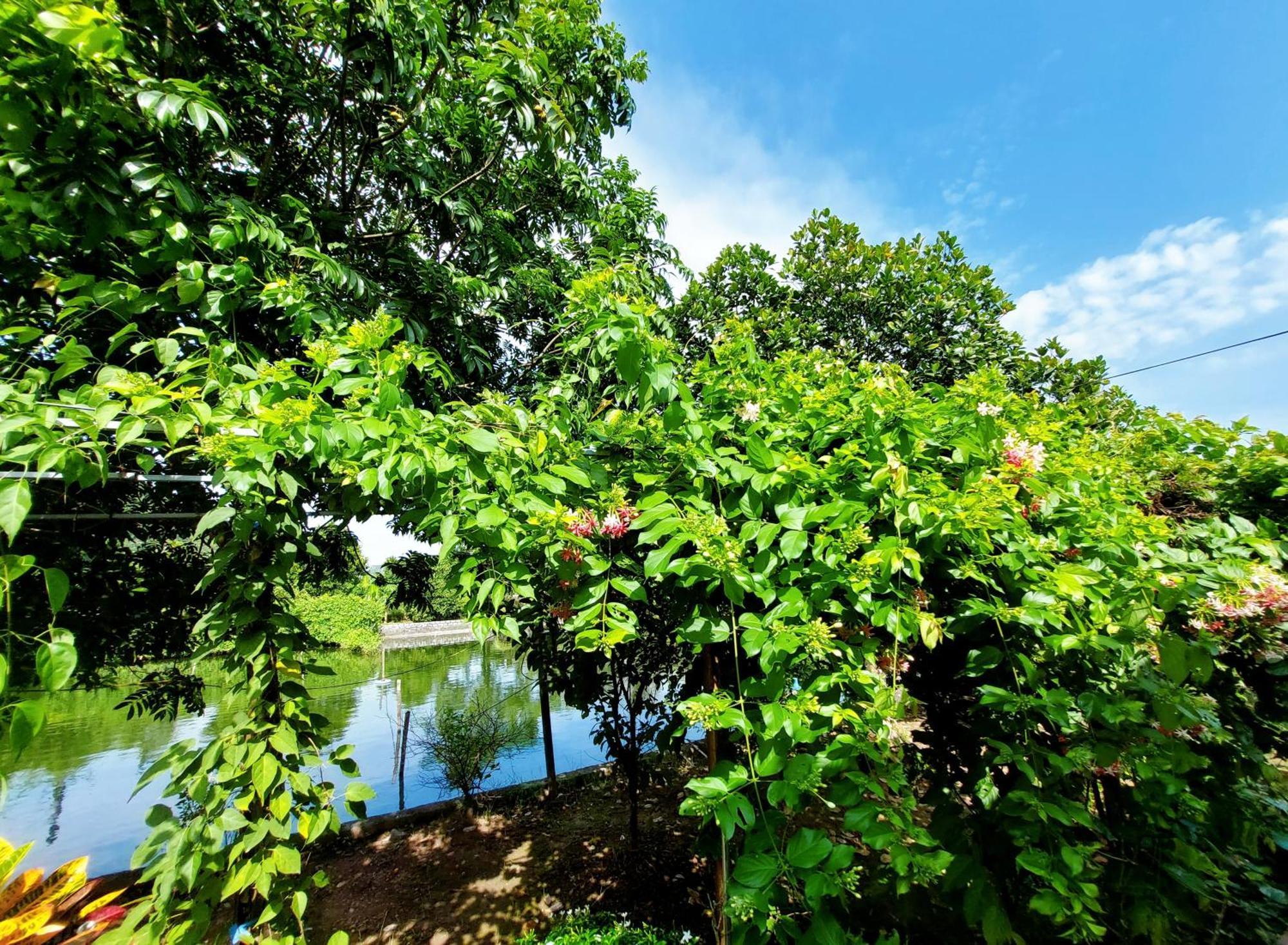 Ninh Binh Green Farmstay La Phu  Esterno foto